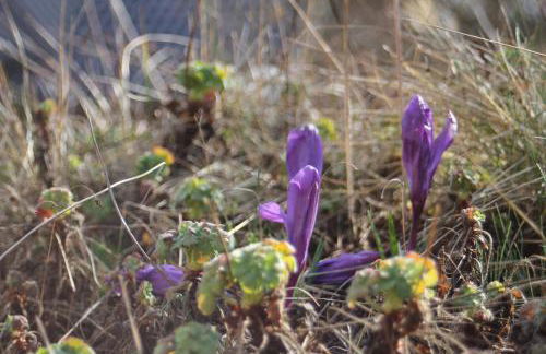 Ferienwohnung "Eifelstueffje" - Foto 64