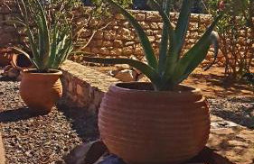 Villa Stamatis - Foto 41