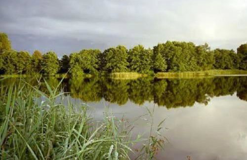 Haus 'am Selliner See-wismar' - Foto 15