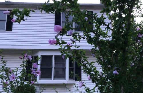 Boston Single Family House - Super Quiet and Private - Foto 32