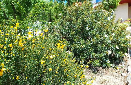 Casa Blanco - Foto 52