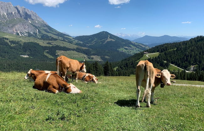 Superbly Located Premium Chalet With Sauna - Foto 39