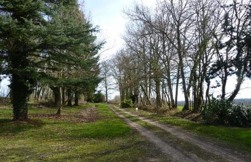 Gîte du Grand Sancerrois - Foto 21