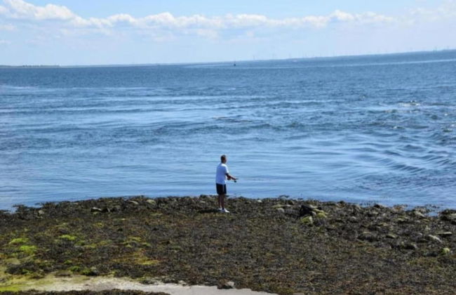 Villa Oesterdam Deluxe 6 Persons - Foto 22