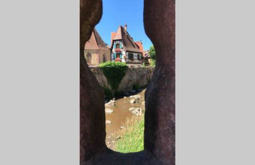 Coeur Alsace - Foto 31