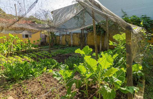 Piscina, jardim, área gourmet e vista arborizada - Foto 52