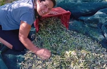 Agriturismo Circugnano - Foto 45