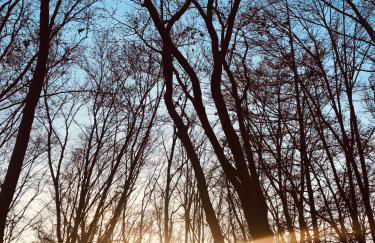 Ferienwohnung Körber - Foto 38