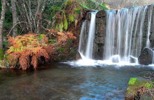 Fragas do Lobo - Casa da Azenha - Foto 33