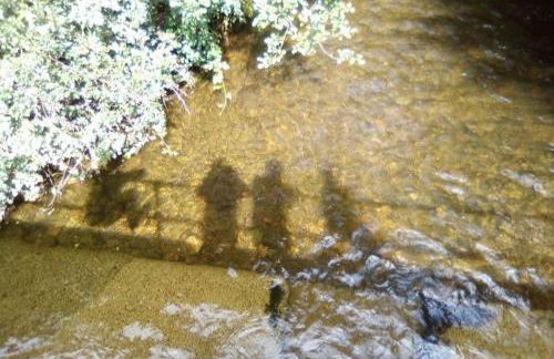 Cosy Rural Gilbert Hights Llandovery Cynghordy - Foto 19