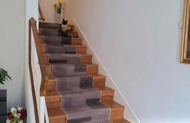 Beja Garden apartamento com terraço privado - Foto 13