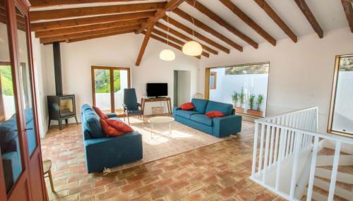 Cabasina Bordeira - Foto 4