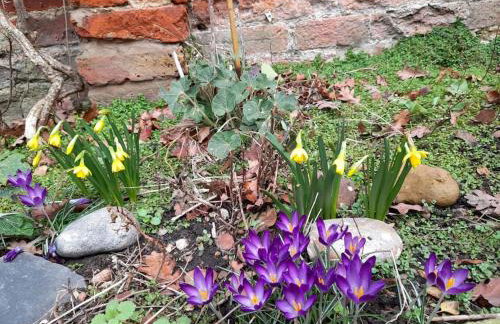Rose Cottage, 2 Bedroom Cottage with character, near Southwold - Photo 26