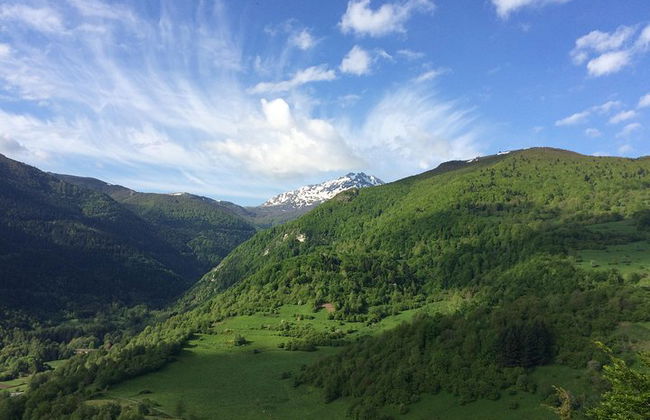 Excursion d'une journée à Montségur et Mirepoix. Visite privée au départ de Toulouse. - Photo 2