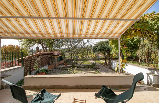 Kiwi e L'uva - Tuscia - Foto 1