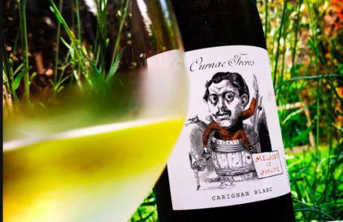 Maison vigneronne de Bonne Maman - climatisée - Foto 61