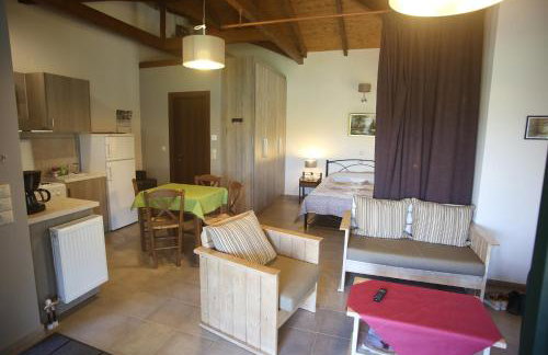 Morchella MushROOM - Foto 13