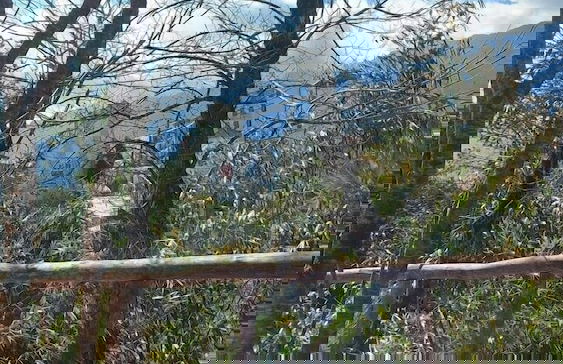 Tay Bac Sky Homestay - Foto 15