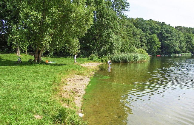 Ferienhaus am Dummer See, Perlin - Foto 24