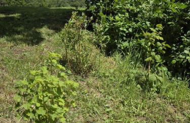 Ferienhaus Birx - Foto 52