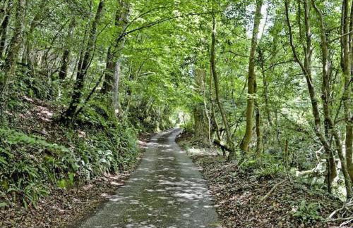 Cobble by Together Travel - Luxury Cornish Countryside Retreat - Foto 12