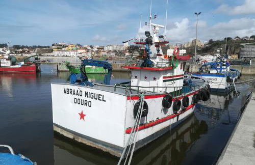 Starfish House - Foto 31