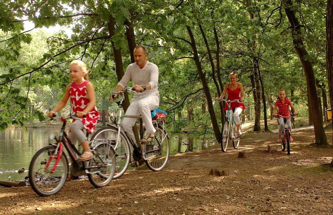 Chalet Near Eindhoven in a Green Oasis - Photo 11