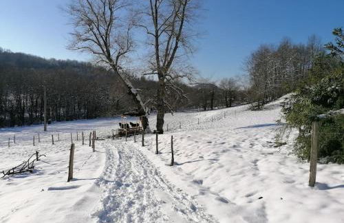 Les Merens - Foto 27