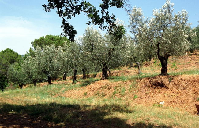 Agriturismo Le Capanne - Foto 28