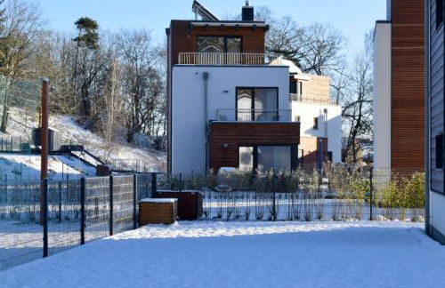 Modernes Ferienhaus mit Kamin und Sauna am Altdorfer See, Hunde sind herzlich Willkommen - Foto 3
