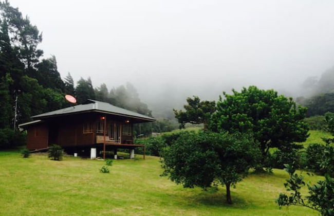 Lemon House Monteverde - Foto 9