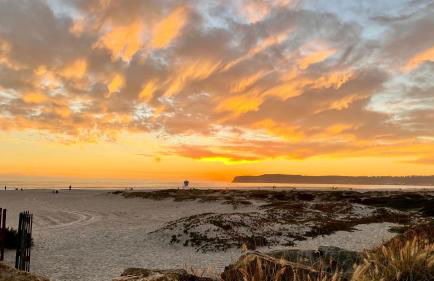 Near All Things SD - Canyonview - Jacuzzi - EV Charge - Foto 73