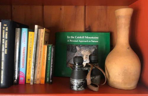 Panther Mountain Lodge - Photo 21