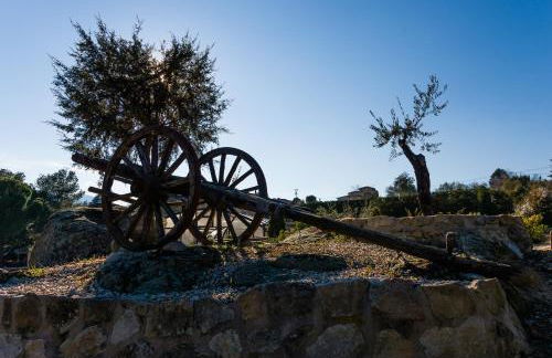 Finca 13 Ramas - Photo 19