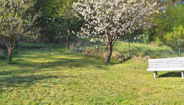 Kleines Domizil am Südhang - Foto 5