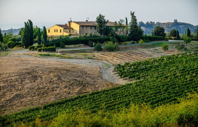 1 bedroom Apartment in Certaldo with swimming pool and garden - Photo 31