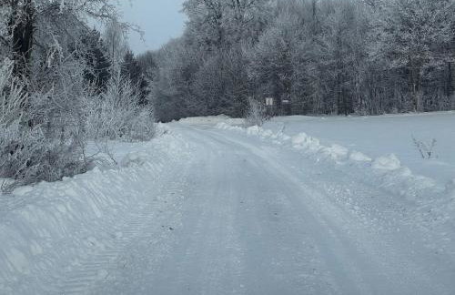 Rancho „Czajone na pigwowcu” - Foto 44