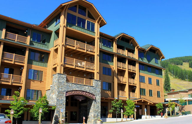 Morning Eagle - Photo 1