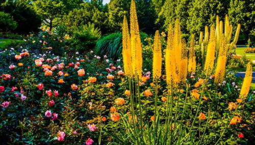 Nice Apartment in der Center Of Munich - Foto 2