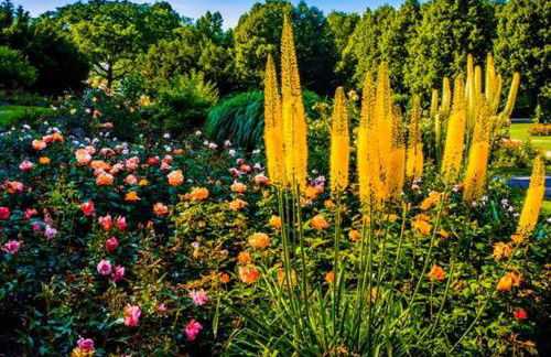 Nice Apartment in der Center Of Munich - Foto 2