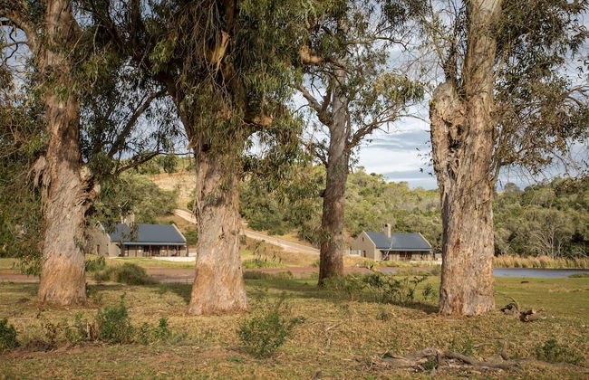 Botlierskop Bush Villas - Photo 59
