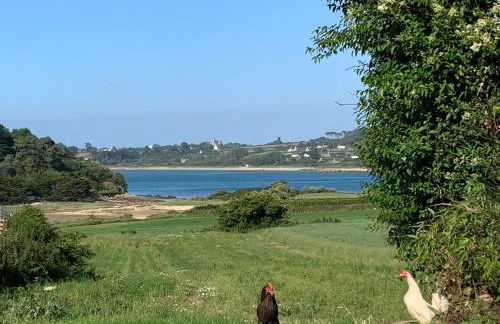 Les villas d'Onalou - Port Blanc - Foto 43