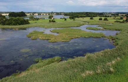 Pęglity jezioro - Foto 10