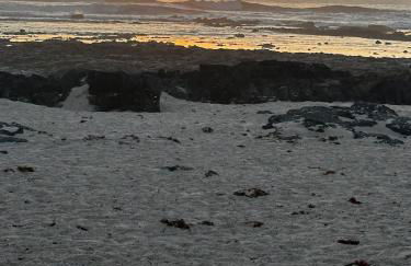 Apartamento Meliyeri1 1ª línea de playa - Foto 22