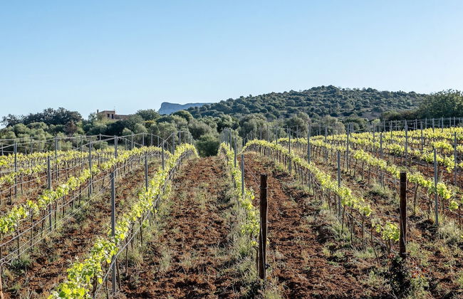 Finca Sos Ferres D'en Morey - Foto 68