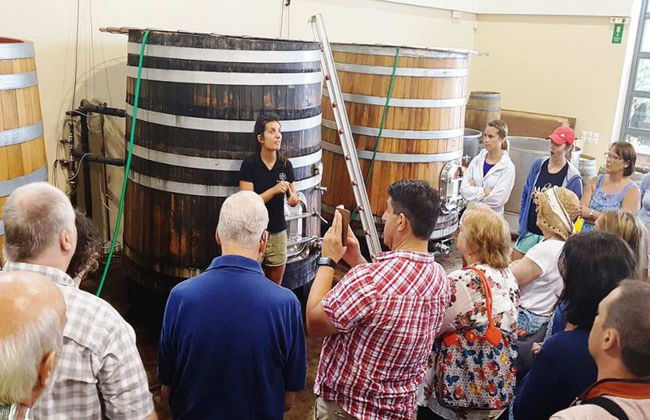 Experiência com Vinho e Azeite Cretense - Tour de Dia Inteiro - Foto 2