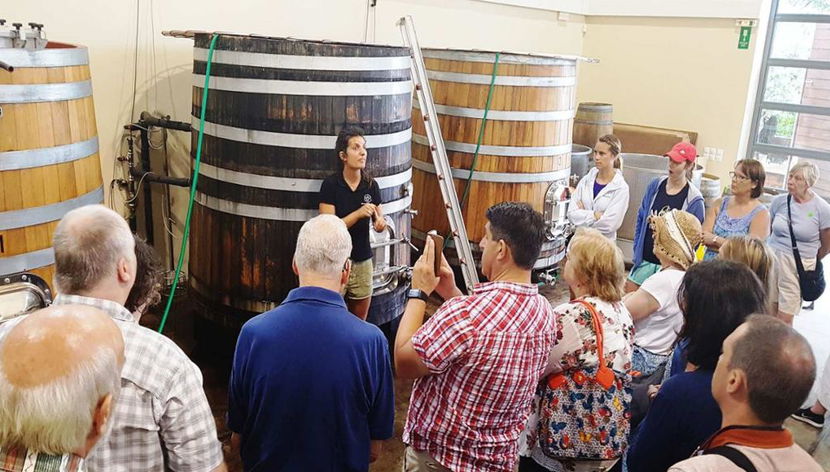 Experiência com Vinho e Azeite Cretense - Tour de Dia Inteiro - Foto 2