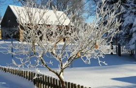 SeidelsFerienparadiesGahlenz - Foto 14