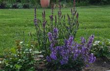 Sowi Dworek - Foto 6