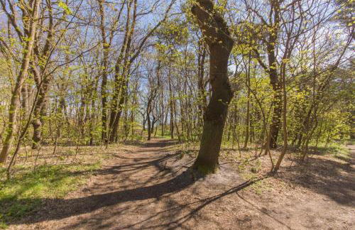 Ihr Zuhause am Meer - Foto 21